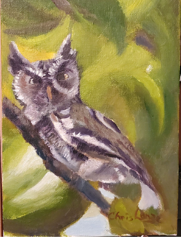 WHOooo Are You?